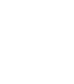 DV Beds Logo